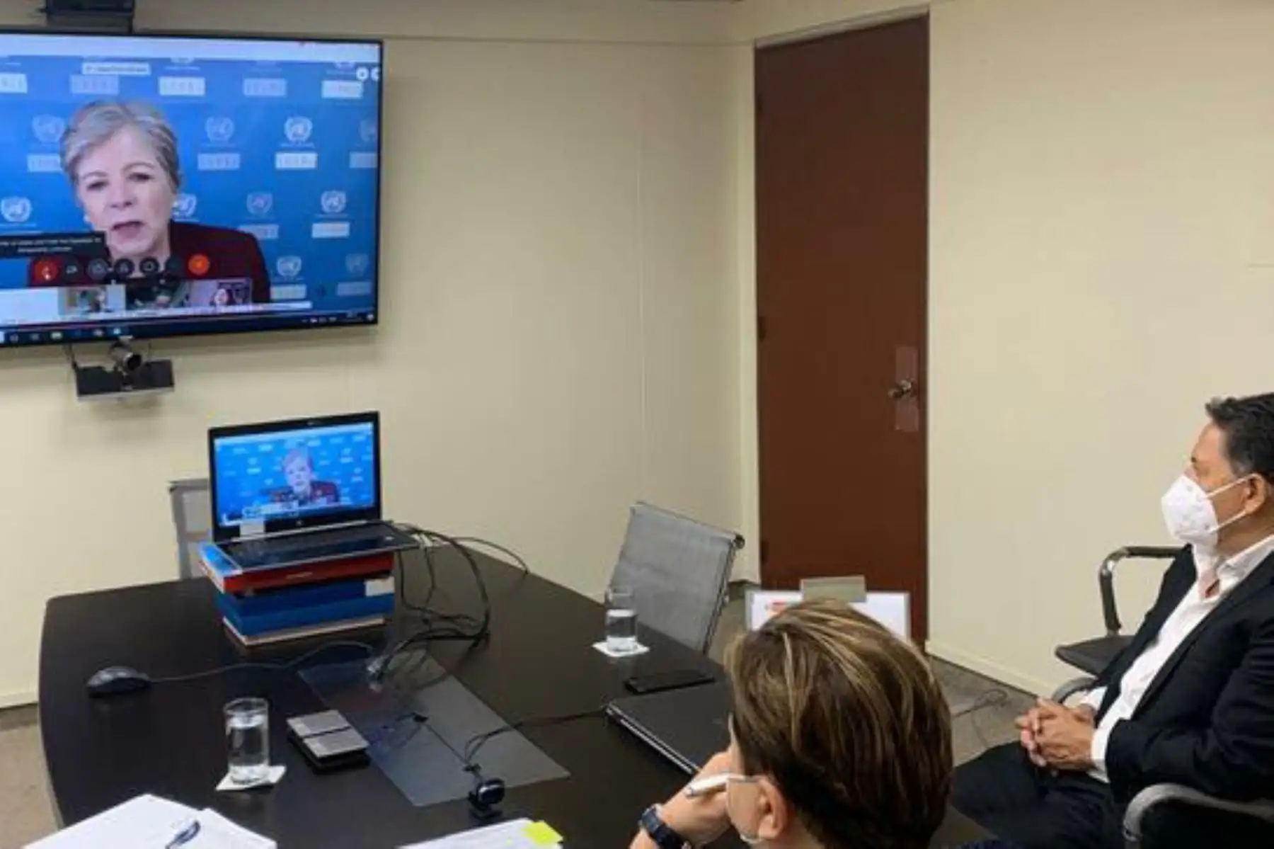 La ministra de la Mujer. Rosario Sasieta, participó en el diálogo virtual "Los efectos del covid-19, una oportunidad para reafirmar la centralidad de los derechos humanos de las personas migrantes en el desarrollo sostenible". Foto: ANDINA/Mimp