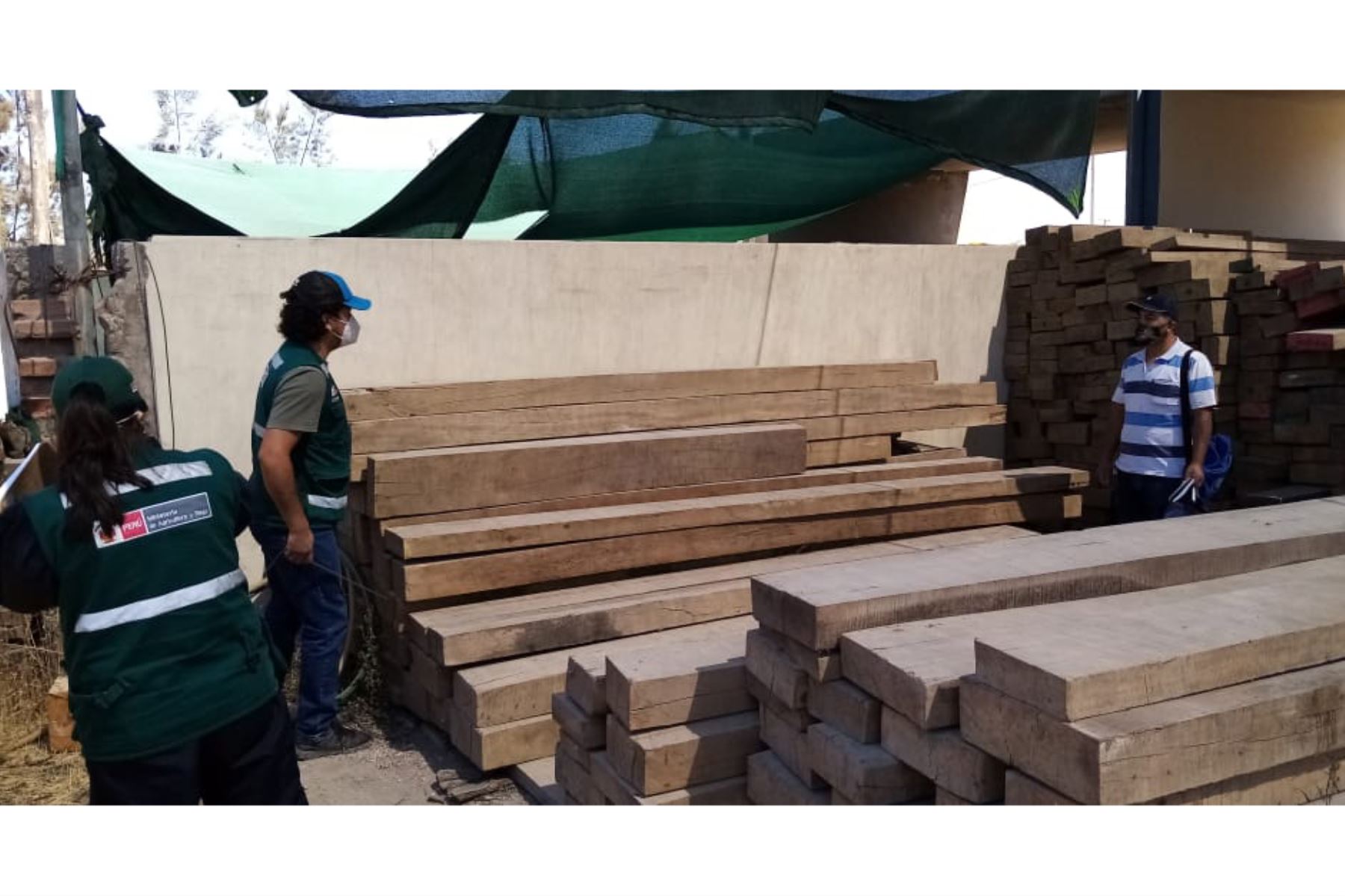 La institución educativa Teobaldo Paredes Valdés de Arequipa recibió madera decomisada por Serfor. Foto: ANDINA/Difusión