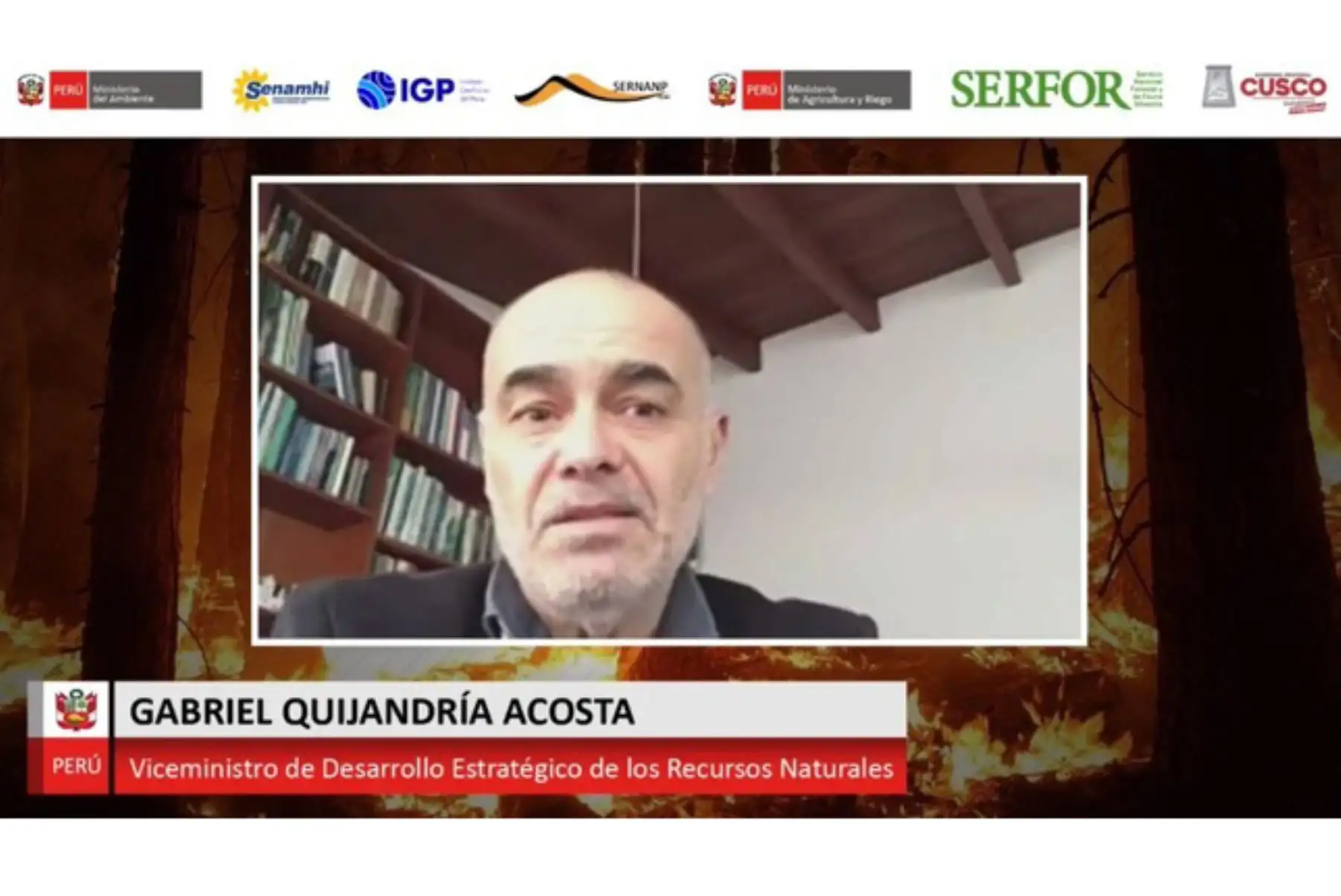 El viceministro de Desarrollo Estratégico de los Recursos Naturales, Gabriel Quijandría, participó en seminario web sobre incendios forestales. Foto: ANDINA/Difusión