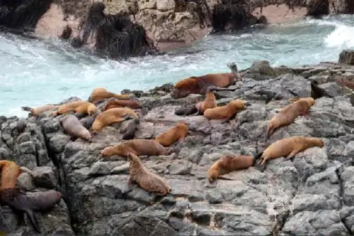 Más de 20 entidades públicas aportan para actualizar Política Nacional del Ambiente