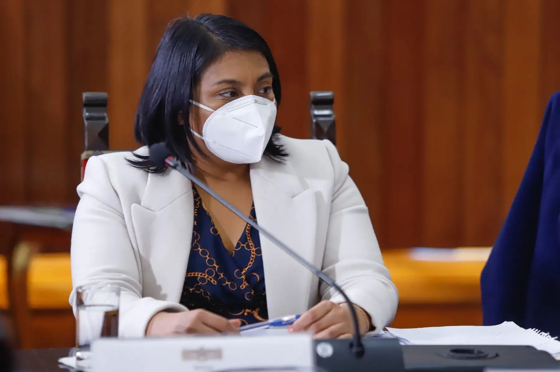 Foto: ANDINA/Prensa Presidencia.