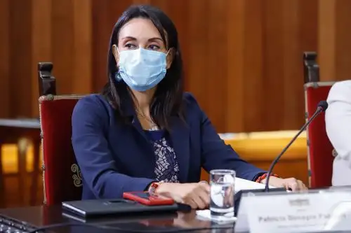 La ministra de Desarrollo e Inclusión Social, Patricia Donayre, pidió reflexión y pensar en el país. Foto: ANDINA/Prensa Presidencia
