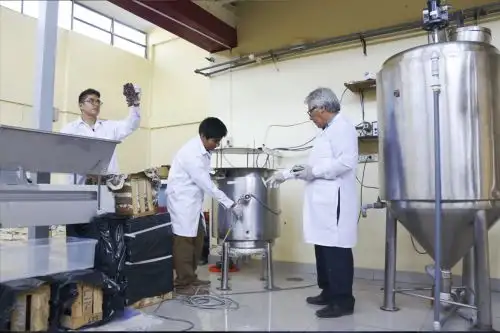 Proyecto impactaría en la producción industrial del pisco, porque utiliza 30% menos en cantidad de uva.