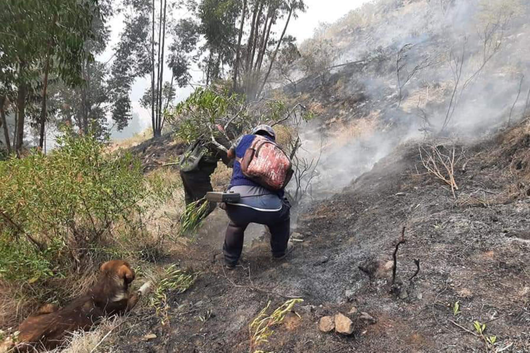 En el sector Chacco Ccoscca, en la provincia cusqueña de Acomayo, se registra un incendio forestal. Foto: ANDINA/Difusión