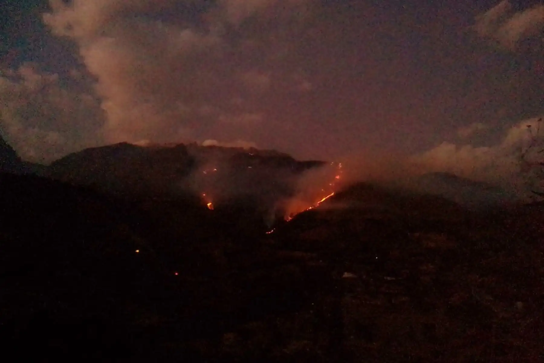 Cultivos, pastos naturales, bosques de eucalipto son afectados por incendios forestales que se registran en la región Áncash.