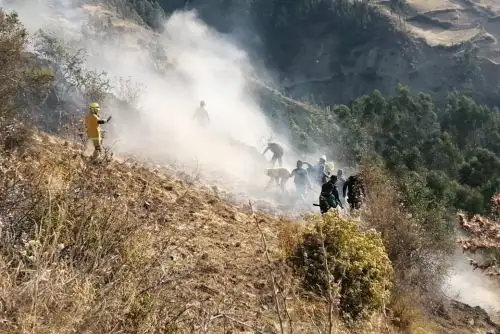 Cultivos, pastos naturales, bosques de eucalipto son afectados por incendios forestales que se registran en la región Áncash.