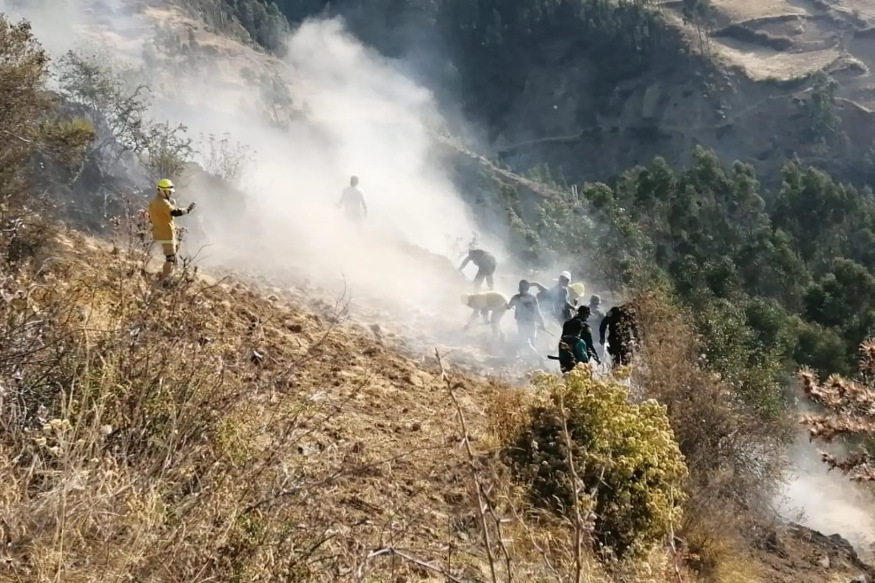 Cultivos, pastos naturales, bosques de eucalipto son afectados por incendios forestales que se registran en la región Áncash.