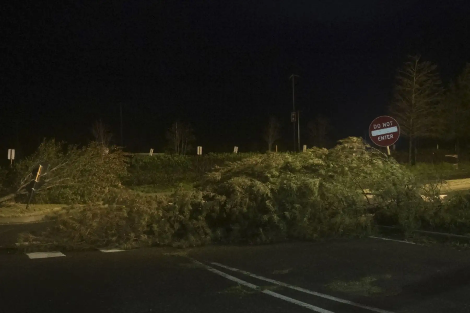 Una foto tomada muestra árboles que yacen a lo largo de una carretera en Lake Charles, Louisiana.Foto:AFP