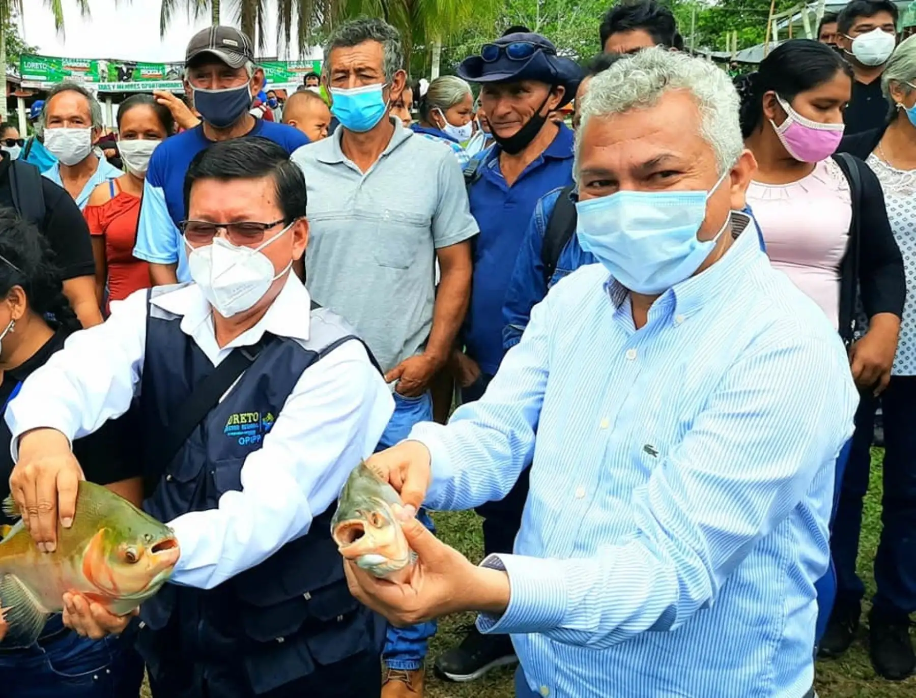 Loreto invierte más de S/ 30 millones en proyectos de ganadería y acuicultura en la provincia de Alto Amazonas.