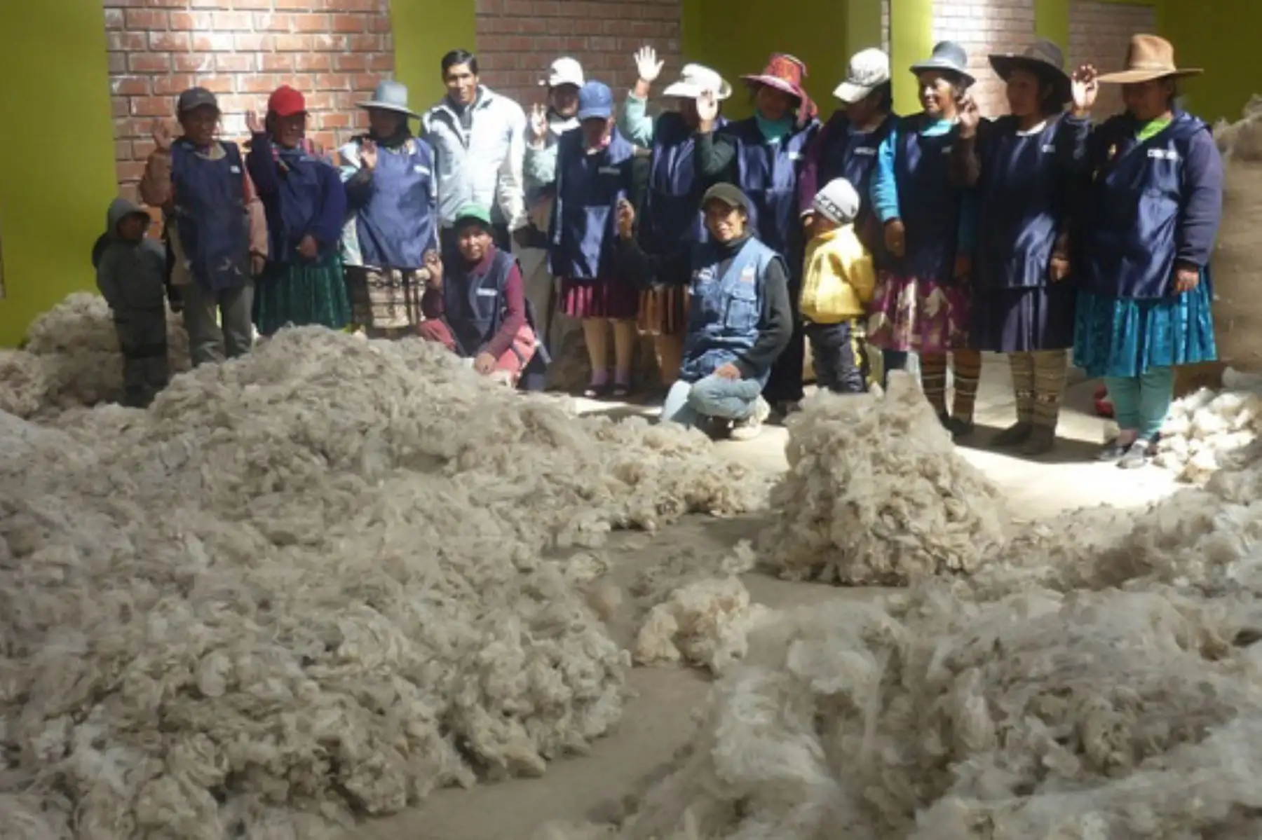 Productores de Arequipa introducen fibra de alpaca con calidad genética en mercados internacionales. Foto: Minagri