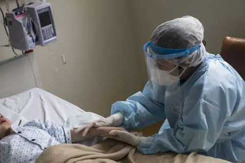 Foto: ANDINA/Jhonel Rodríguez Robles