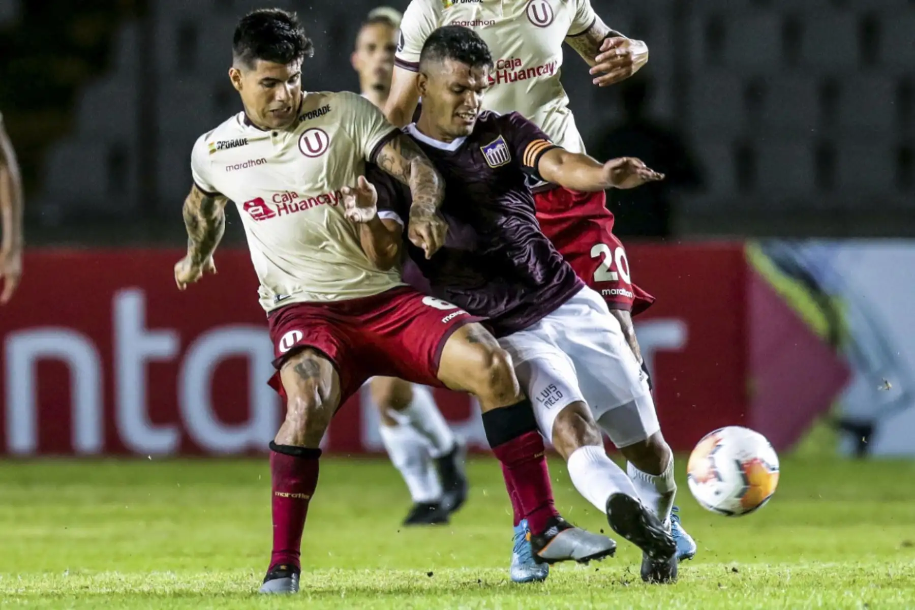 Armando Alfageme, jugador de Universitario de deportes.Foto:AFP