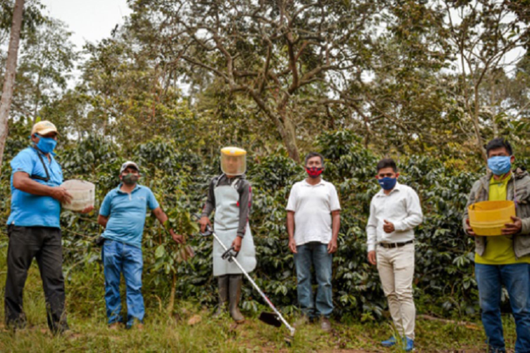 Dos organizaciones agrarias de café de Cajamarca y Cusco generaron negocios por 741,000 soles gracias a su participación en las Ruedas Virtuales promovidas por el Ministerio de Agricultura y Riego. Foto: Minagri