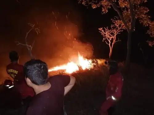 Alerta en San Martín por incendio forestal que arrasa con 30 hectáreas de bosque en la provincia de Huallaga. ANDINA/Difusión