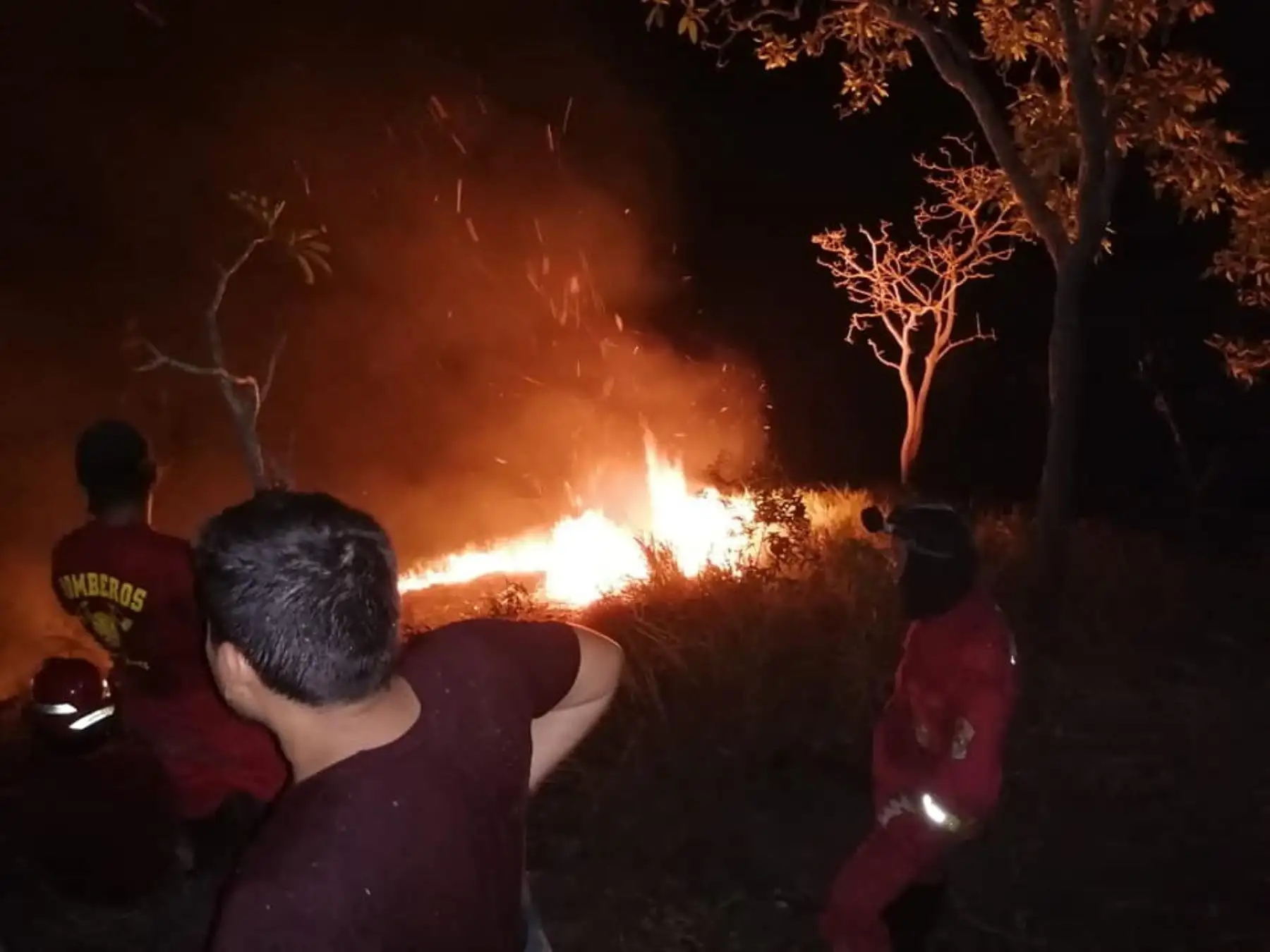 Alerta en San Martín por incendio forestal que arrasa con 30 hectáreas de bosque en la provincia de Huallaga. ANDINA/Difusión