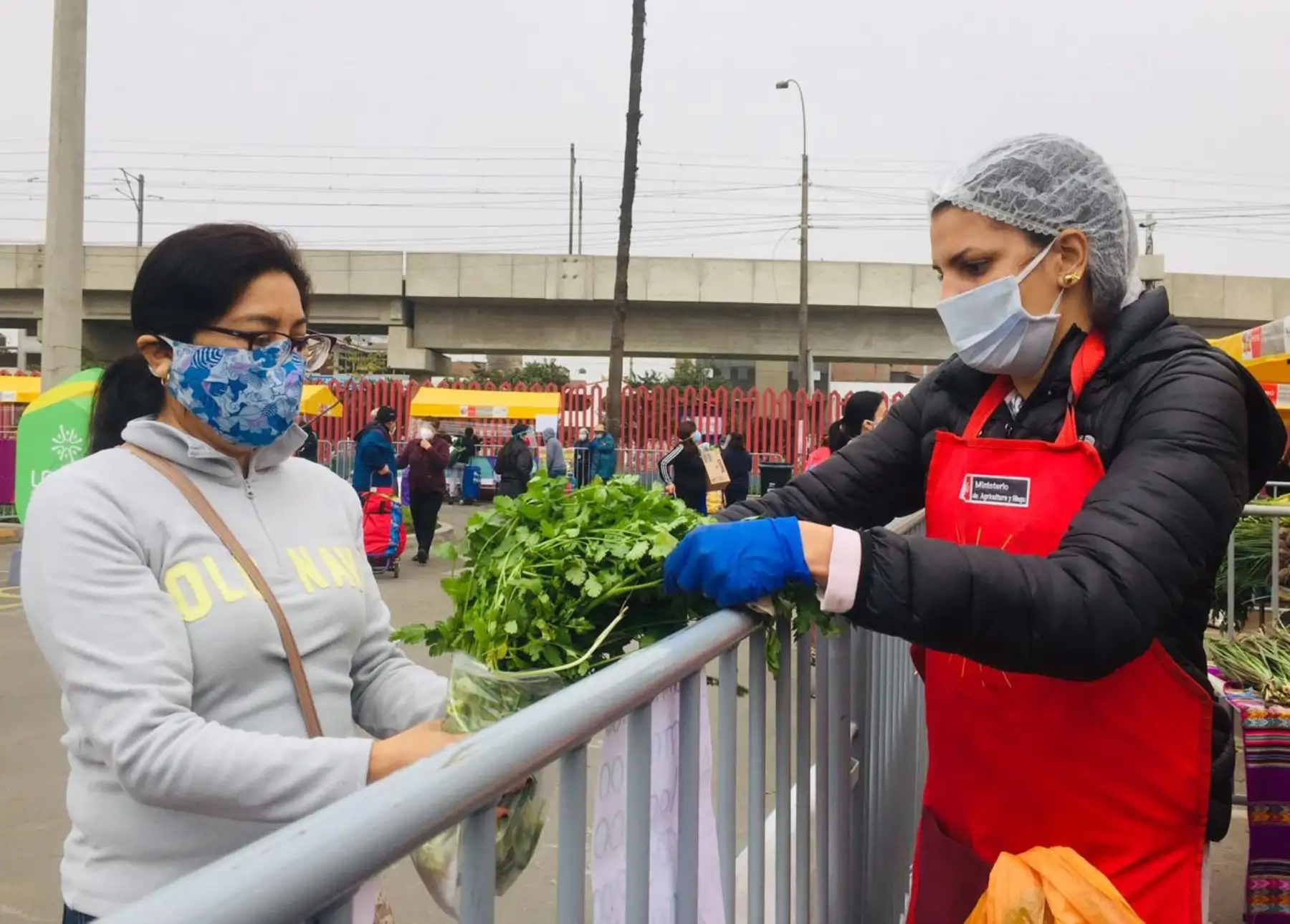 Conoce en qué distritos de Lima estarán los mercados De la chacra a la olla. Foto: ANDINA/Difusión.