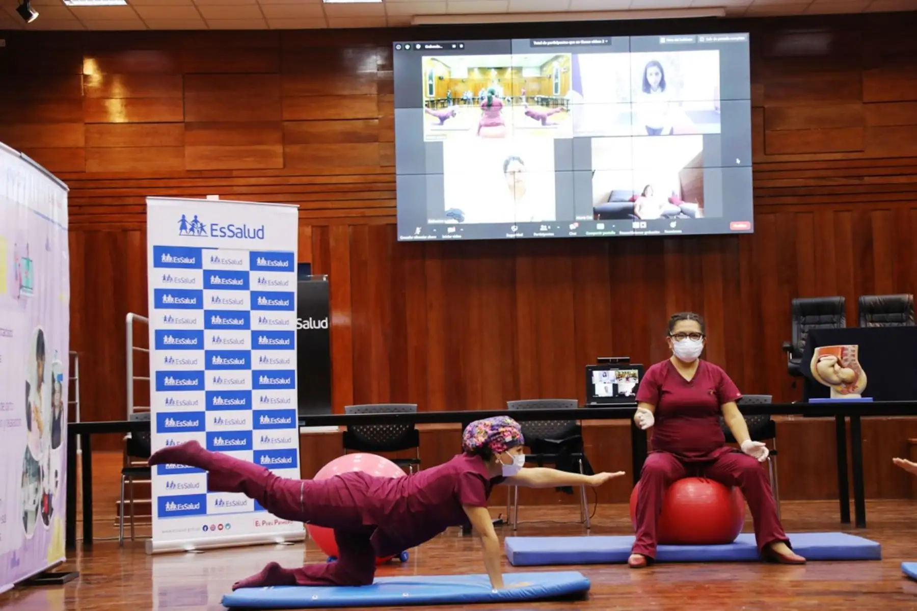 EsSalud: obstetras celebran su día con sesiones virtuales de psicoprofilaxis prenatal. Foto: ANDINA/Difusión.