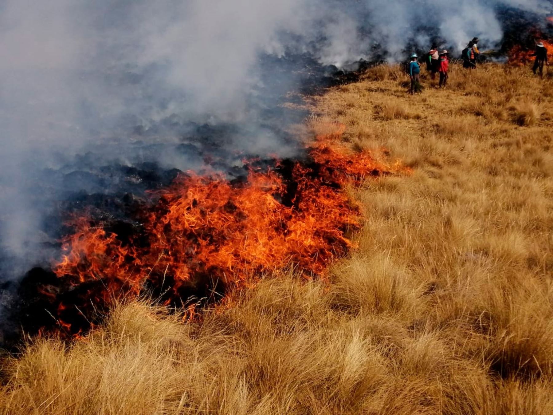 Especialistas del Serfor capacitan a gobiernos regionales sobre prevención de incendios forestales. ANDINA/Difusión