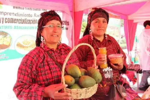 También se ha fomentado capacidades financieras de 400 usuarios del proyecto Haku Wiñay/Noa Jayatai del Núcleo Ejecutor de Tupe – Colonia.