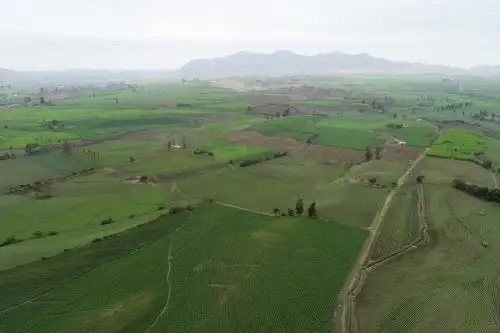 ANDINA/Difusión