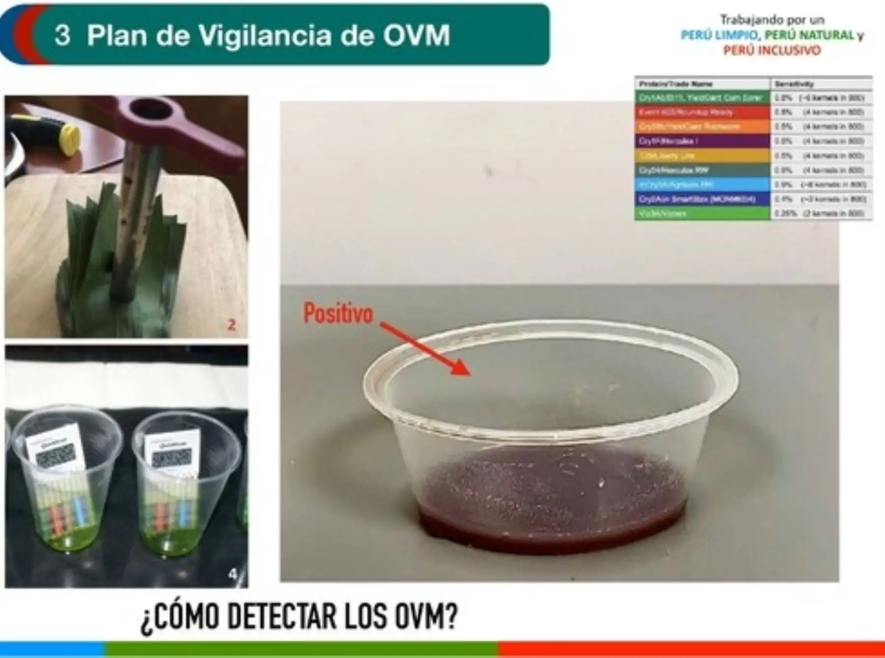 El Ministerio del Ambiente descartó la presencia de productos transgénicos en el Perú y ratificó que se mantiene la vigilancia. ANDINA/Difusión
