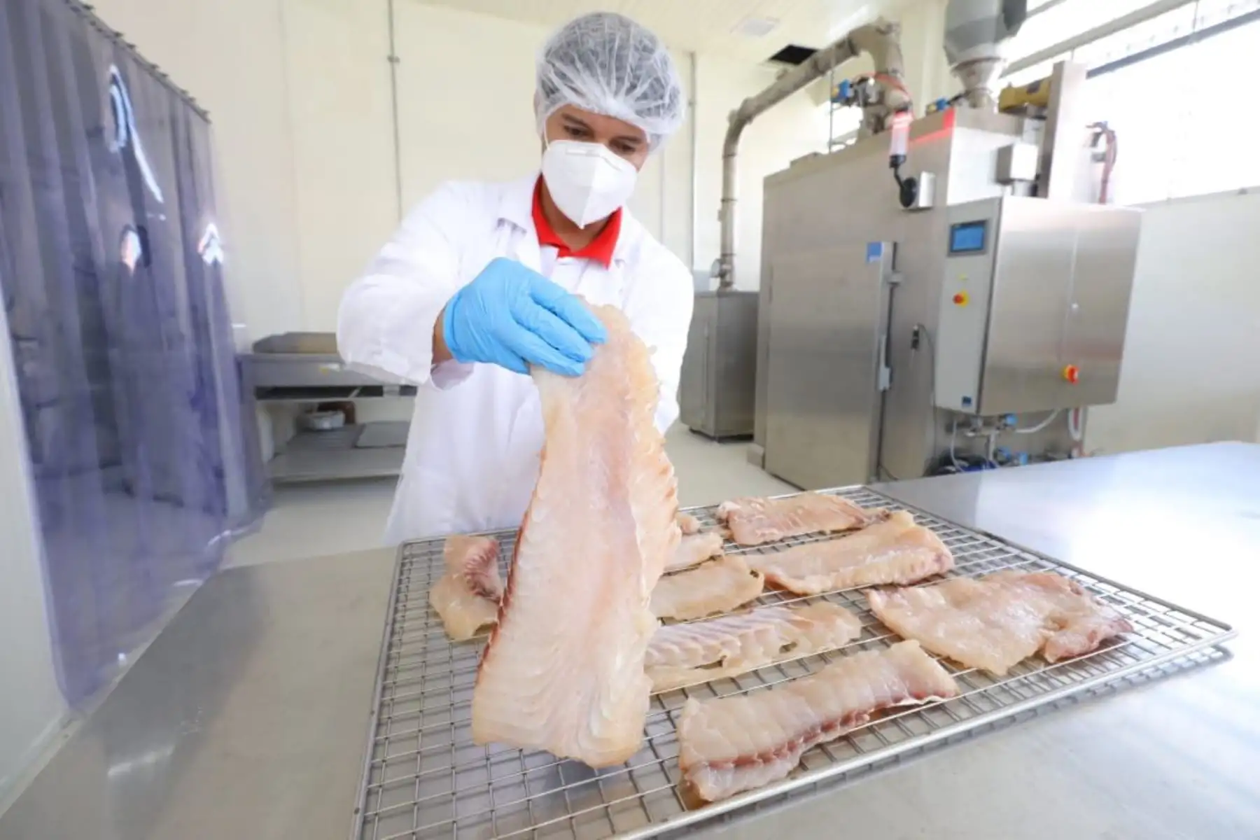 Aumenta demanda internacional por productos acuícolas. ANDINA/Difusión