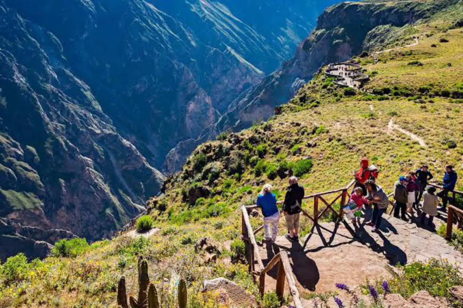 El valle del Colca recibió el año pasado más de 250,000 turistas y en el 2020, hasta el 15 de marzo, ingresaron 41,535. Foto: ANDINA/Difusión