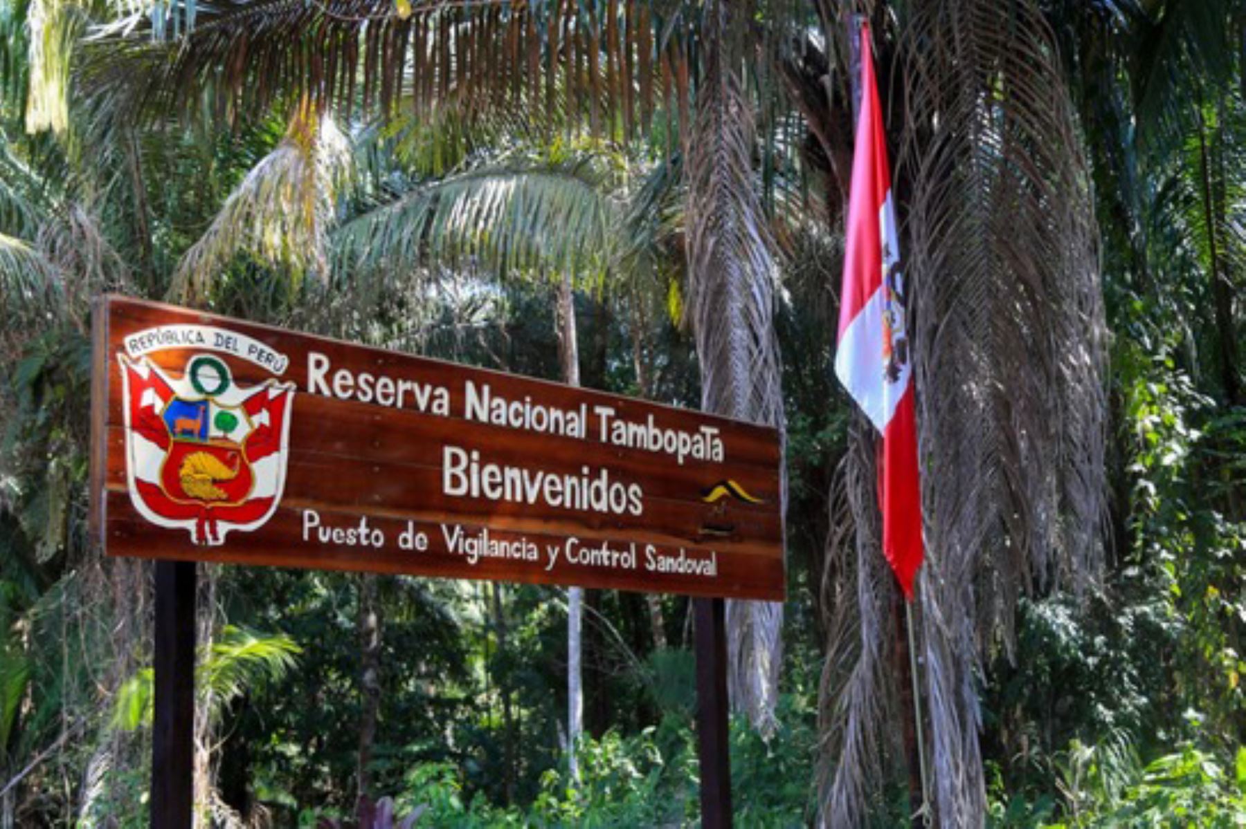 La reserva nacional Tambopata cumple hoy 20 años y es considerada como la joya natural más representativa de la región Madre de Dios. Foto: ANDINA/Difusión