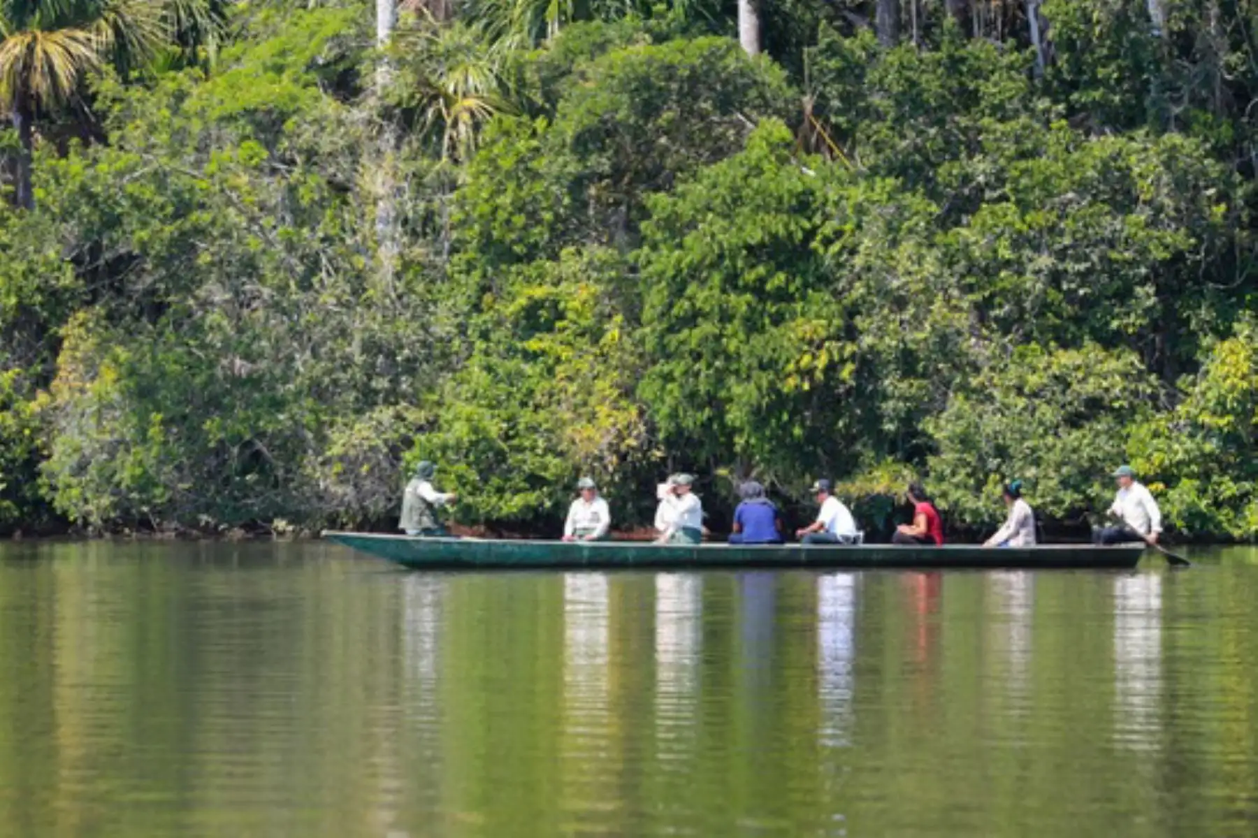 La reserva nacional Tambopata cumple hoy 20 años y es considerada como la joya natural más representativa de la región Madre de Dios. Foto: ANDINA/Difusión