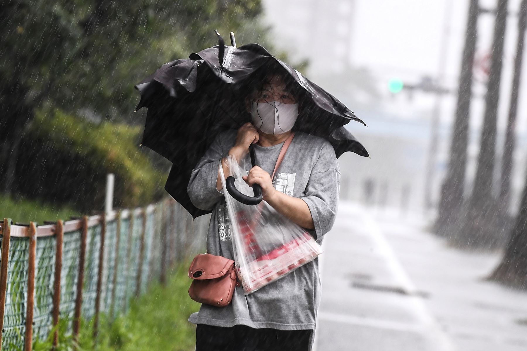 Una mujer camina bajo una intensa lluvia cuando el tifón Haishen se acerca en Kagoshima, prefectura de Kagoshima, el 6 de septiembre de 2020. Foto: AFP