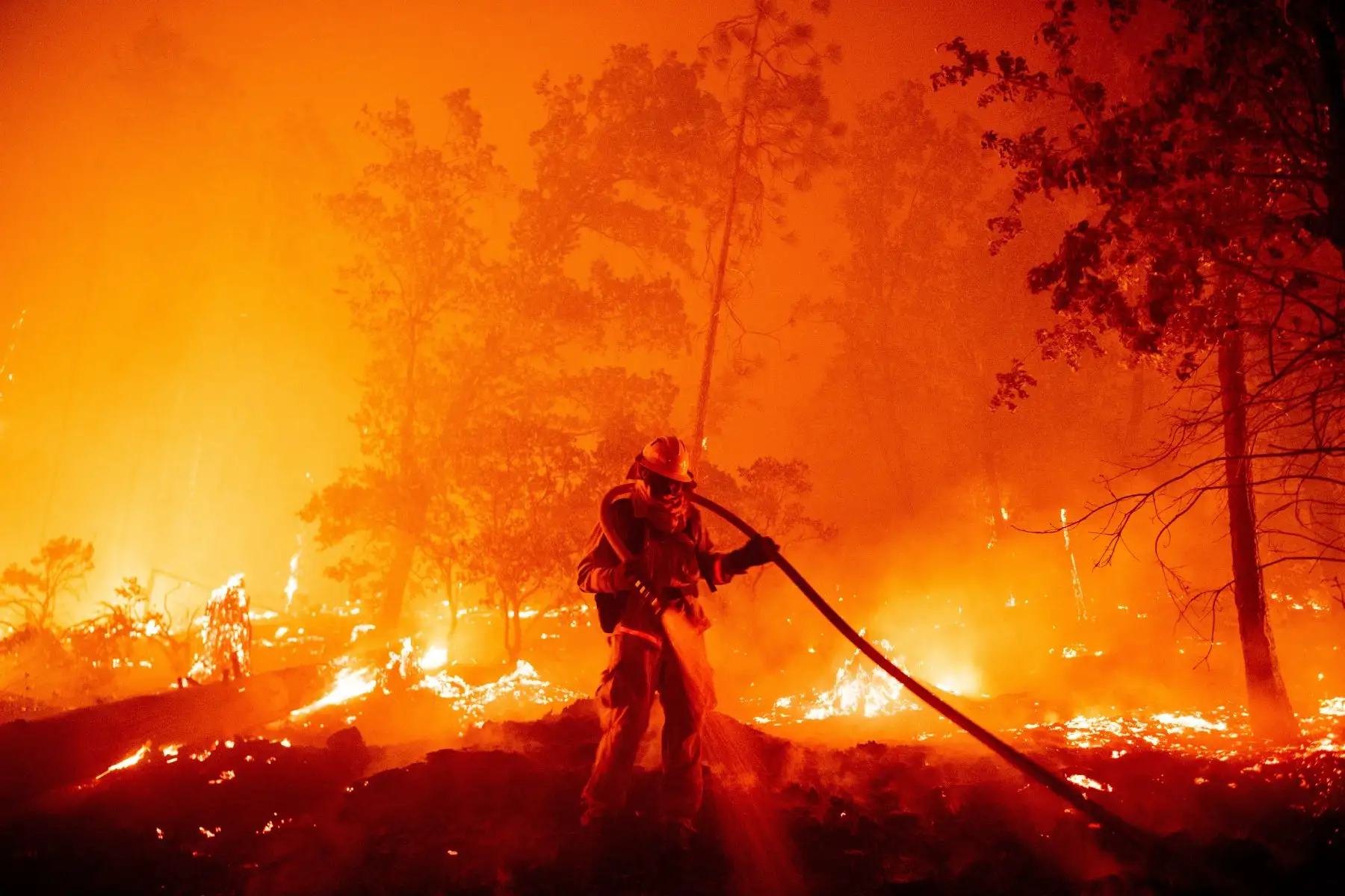 Un bombero intenta apagar el fuego mientras las llamas empujan hacia las casas durante el incendio de Creek en el área de Cascadel Woods del condado de Madera, California. Foto: AFP