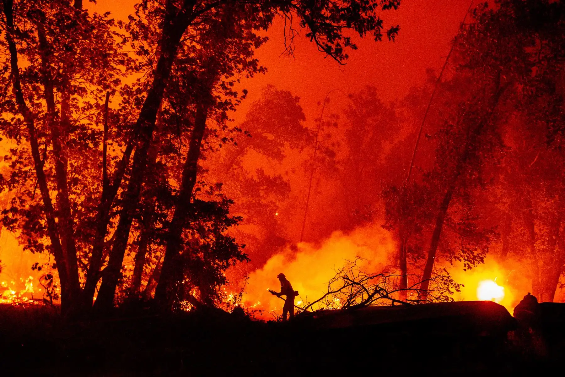 Un bombero intenta apagar el fuego mientras las llamas avanzan hacia las casas durante el incendio de Creek en el área de Cascadel Woods del condado de Madera, California. Foto: AFP