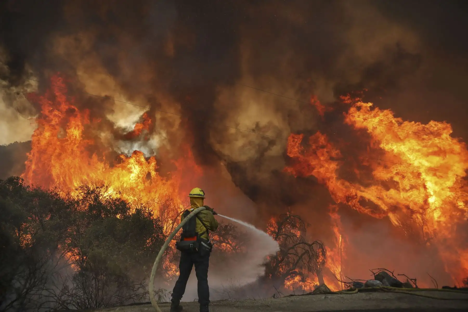 Los bomberos del condado de San Miguel luchan contra un incendio forestal a lo largo de Japatul Road durante el incendio del valle en Jamul, California. Foto: AFP