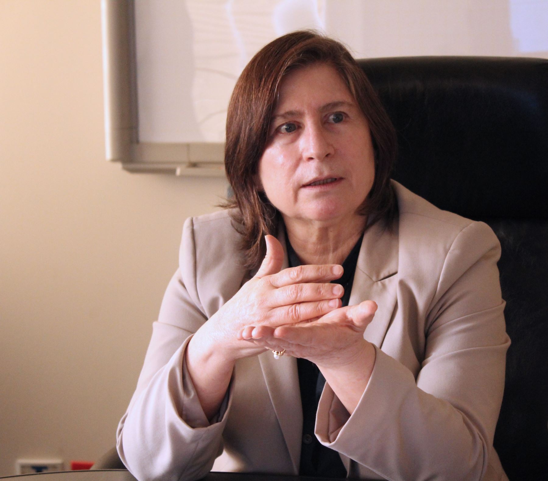 Directora ejecutiva de la corporación Fonafe, Lorena Masías.
