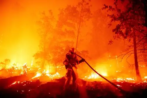 Un bombero apaga las llamas mientras avanzan hacia las casas durante el incendio de Creek en el área de Cascadel Woods del condado no incorporado de Madera, California. Foto: AFP
