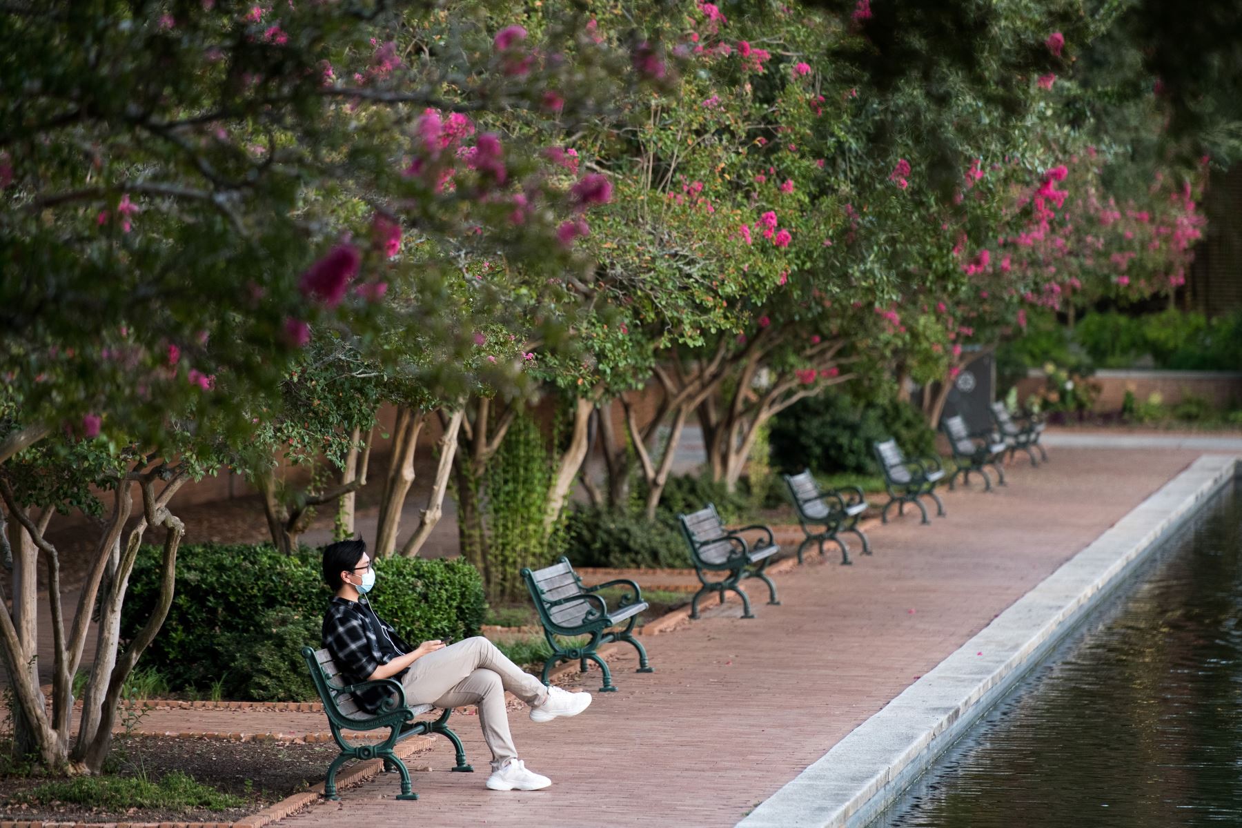 Una joven se sienta en un banco frente a la Biblioteca Thomas Cooper en la Universidad de Carolina del Sur. Foto: AFP