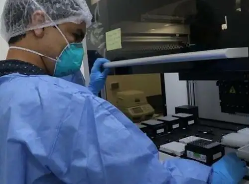 Madre de Dios y Moquegua serán las primeras regiones que utilizarán la técnica LAMP para realizar pruebas moleculares rápidas, anunció el INS. ANDINA/Difusión