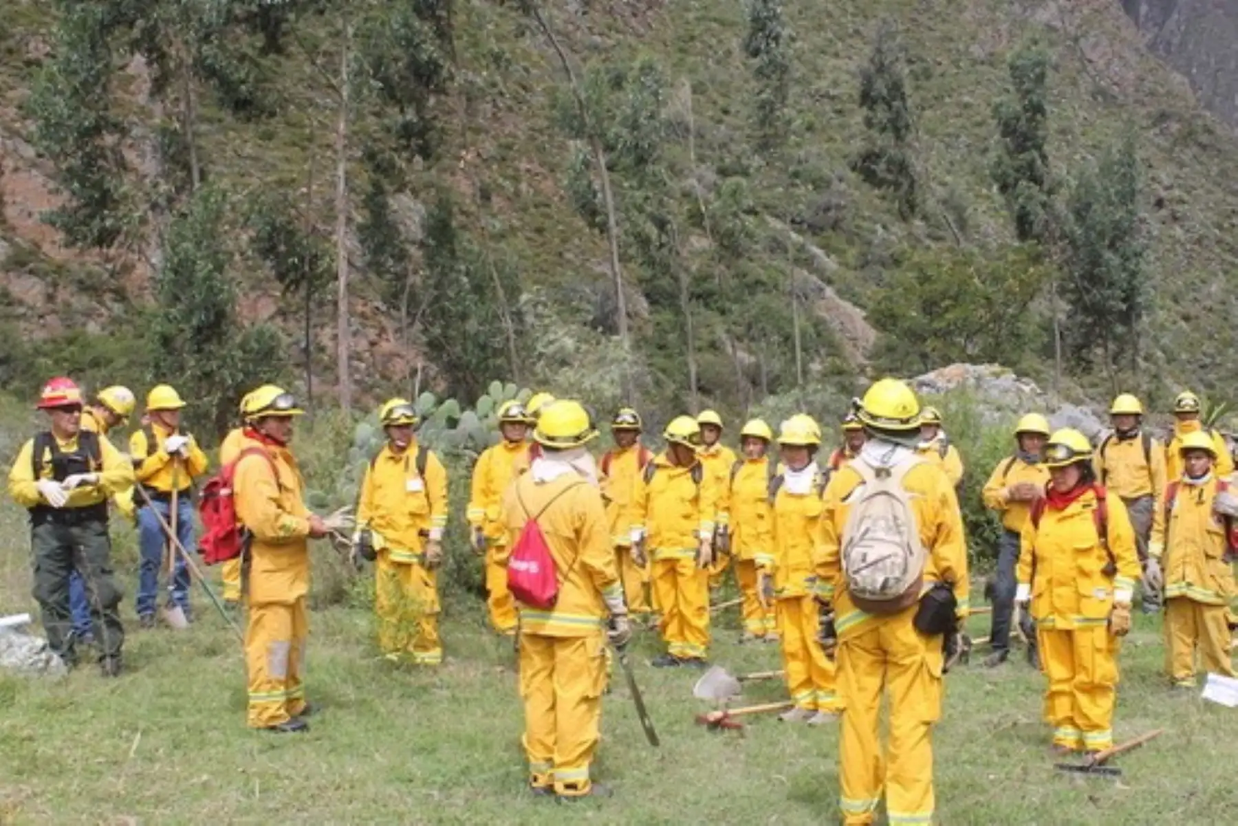 Cuadrillas especializadas monitorean las condiciones que hacen propicia la ocurrencia de incendios forestales.