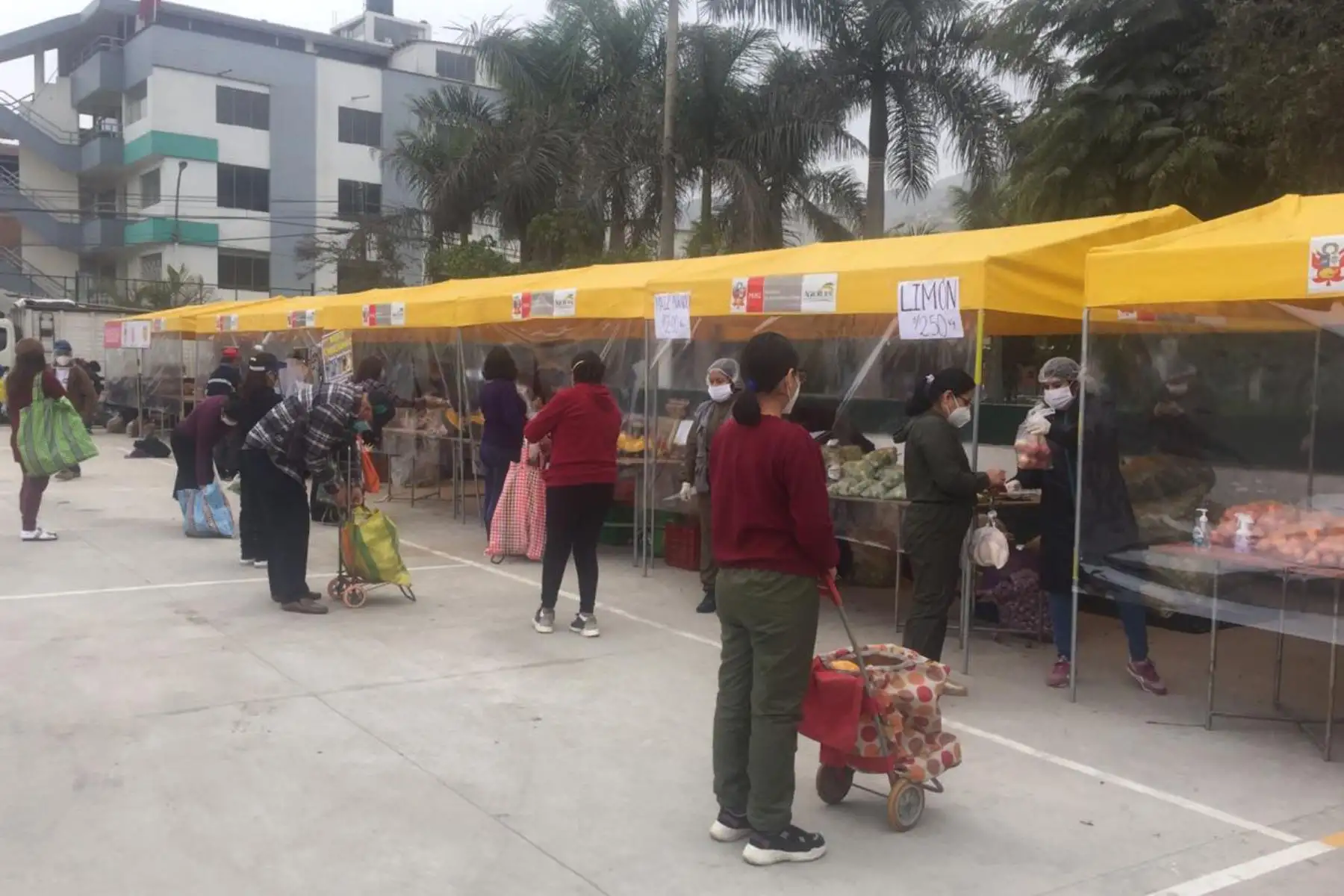 Los Mercados Minagri De la Chacra a la Olla llegarán a zonas vulnerables del distrito de Villa El Salvador gracias al apoyo del Gobierno de Canadá con el objetivo de ofrecer alimentos de primera necesidad a precios sociales 
Foto: Minagri