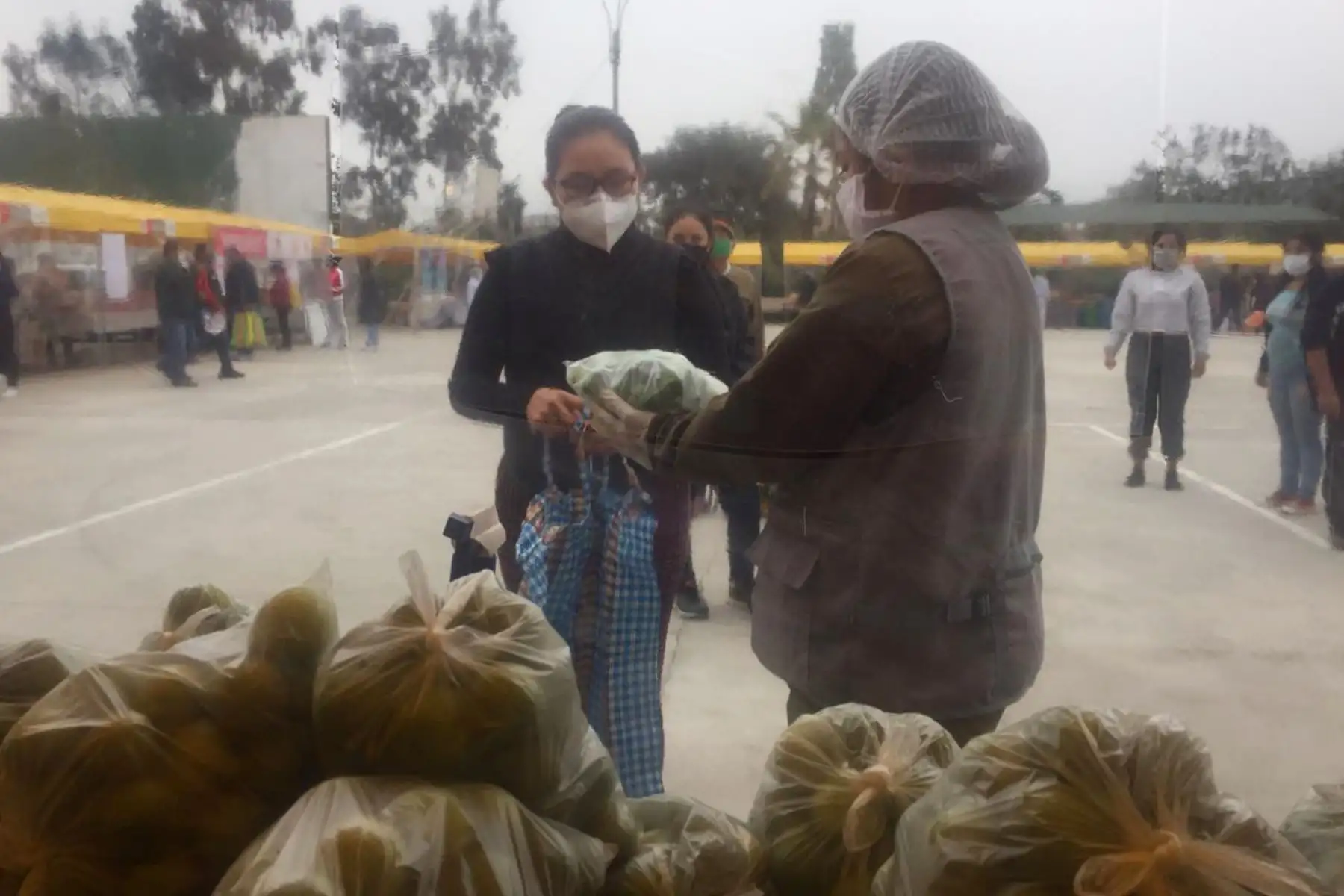 Agro Rural del Ministerio de Agricultura y Riego (Minagri),  promueve esta actividad a través de una alianza estratégica con el Instituto de Desarrollo y Medio Ambiente (IDMA), el proyecto Formagro (financiado por el Gobierno de Canadá) y la municipalidad local.
Foto: Minagri