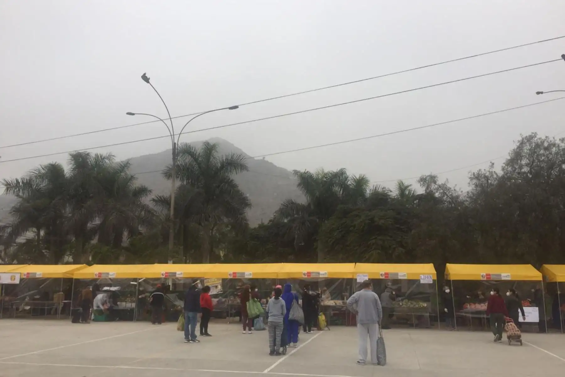 Los Mercados Minagri De la Chacra a la Olla llegarán a zonas vulnerables del distrito de Villa El Salvador gracias al apoyo del Gobierno de Canadá con el objetivo de ofrecer alimentos de primera necesidad a precios sociales 
Foto: Minagri