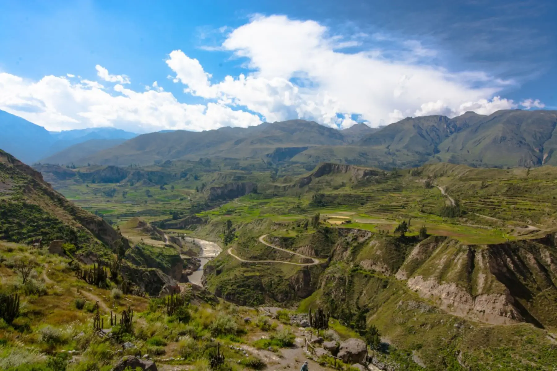 El cañón del Colca está ubicado en la provincia de Caylloma (Arequipa) y tiene una profundidad de 4,160 metros en el sector de Canco, distrito de Huambo. Foto: ANDINA/Autocolca.
