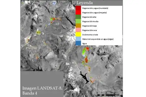 El Ingemmet dará soporte especializado en la elaboración de la metodología para el Primer Inventario Nacional de Bofedales, que estará a cargo del Inaigem. Foto: Ingemmet