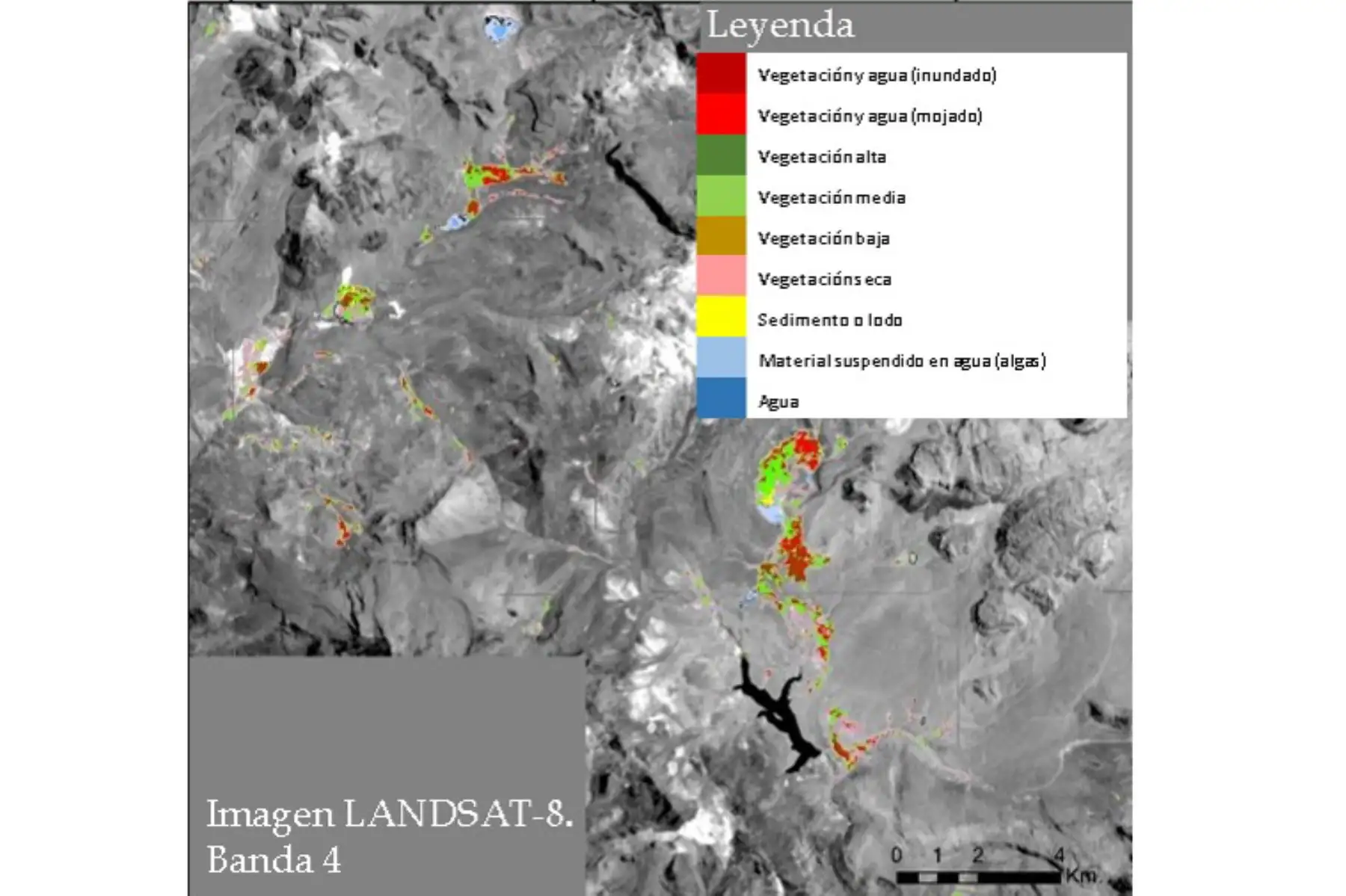 El Ingemmet dará soporte especializado en la elaboración de la metodología para el Primer Inventario Nacional de Bofedales, que estará a cargo del Inaigem. Foto: Ingemmet