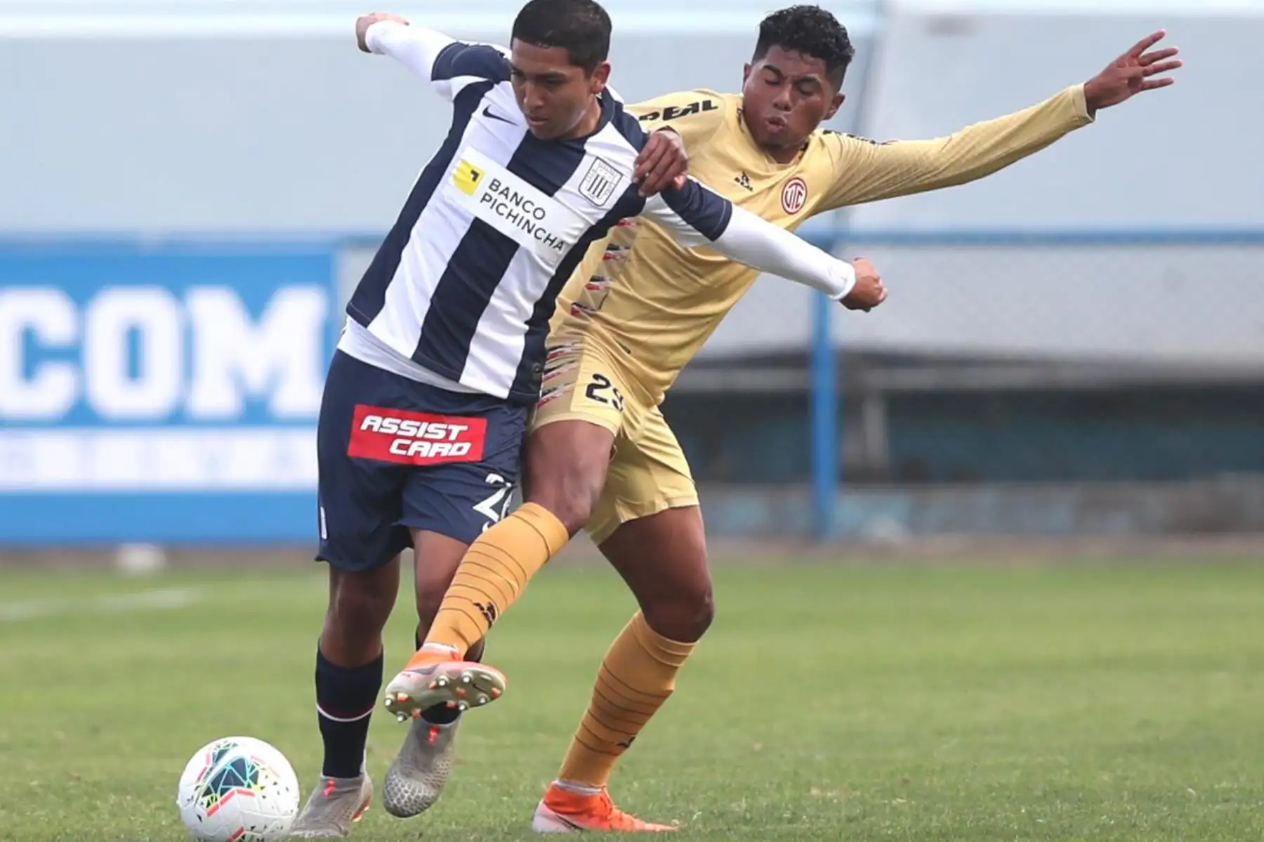 Alianza Lima se enfrenta al Club UTC  durante el partido por la fecha 11 de la Liga 1
en el Estadio Alberto Gallardo. 
Foto: @LigaFutProfdel