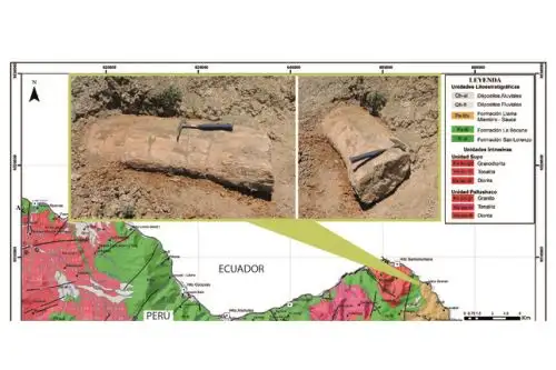 Este es el árbol fósil del Eoceno (40 millones de años) hallado cerca de la frontera entre Perú y Ecuador. Foto: Ingemmet
