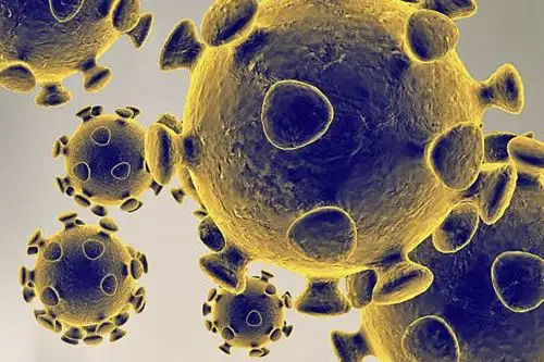 El estudio publicado es  "Identification of Novel Candidate Epitopes on SARS-CoV-2 Proteins for South America: A Review of HLA Frequencies by Country"