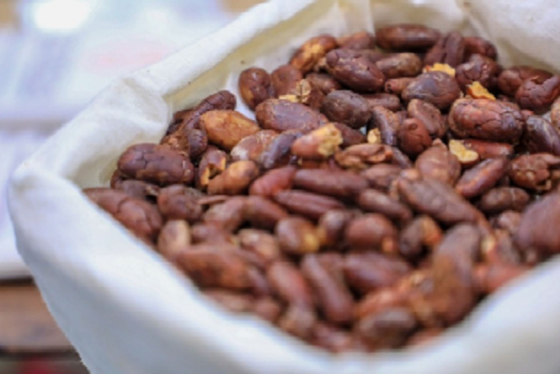Cacao. Foto: ANDINA/Difusión.