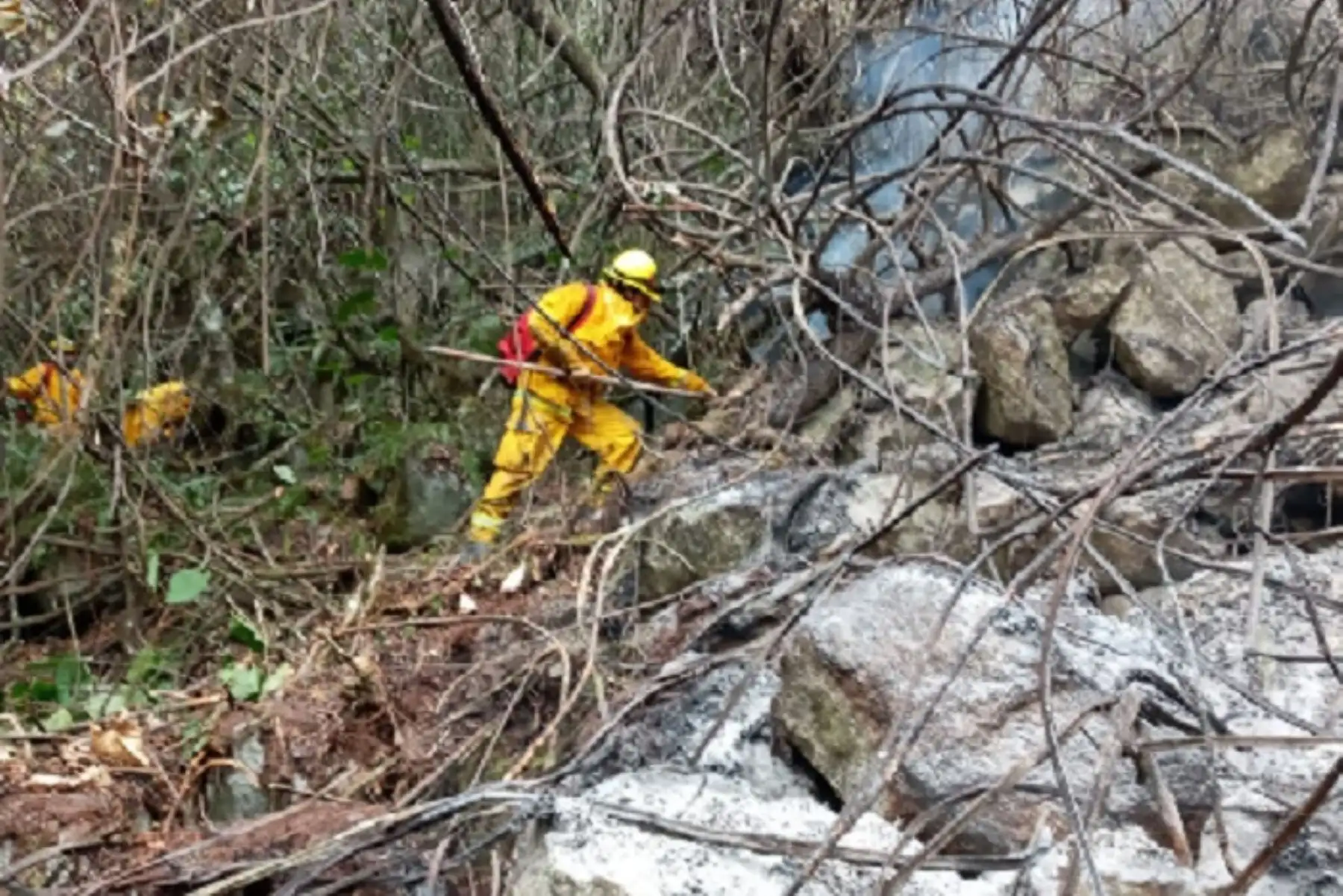 Cusco: controlan incendio forestal en el Santuario Histórico de Machu Picchu
