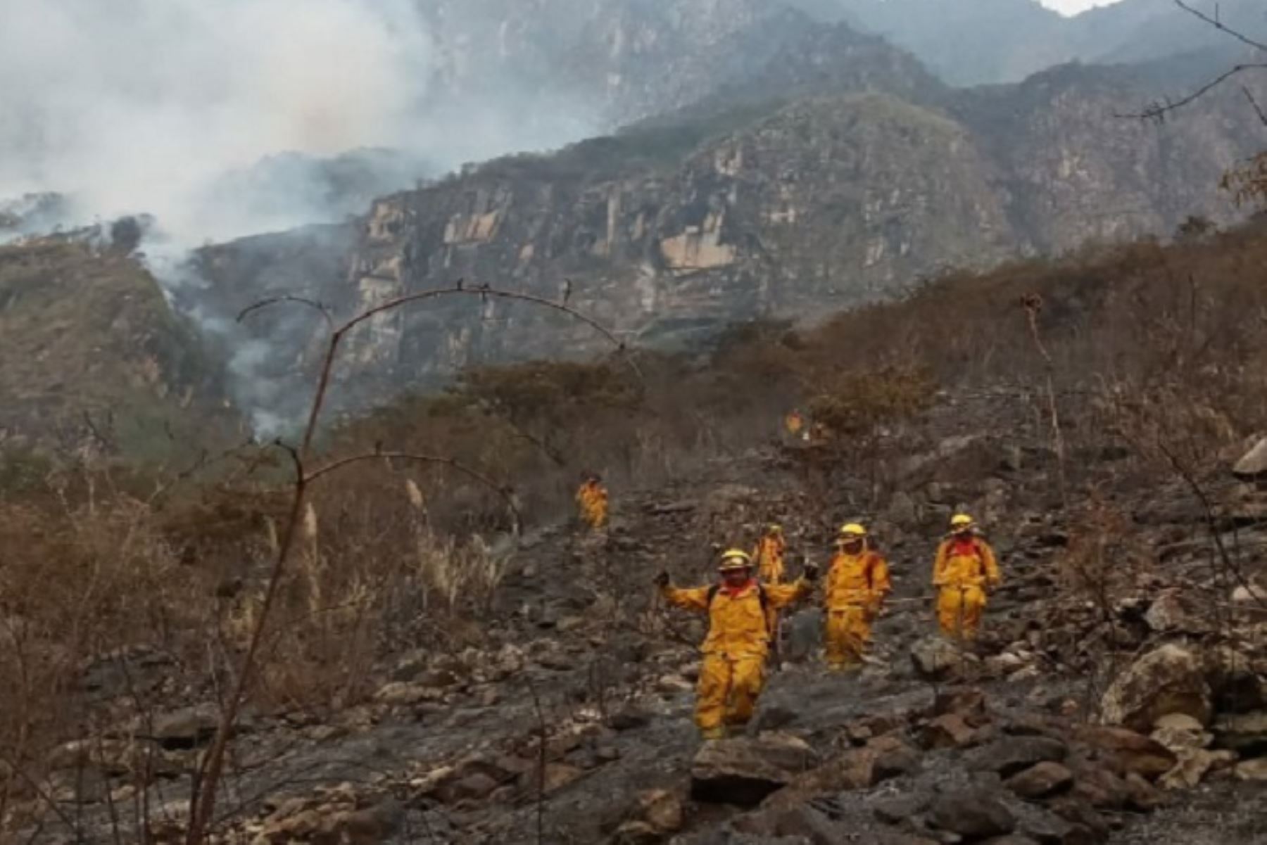 Cusco: controlan incendio forestal en el Santuario Histórico de Machu Picchu